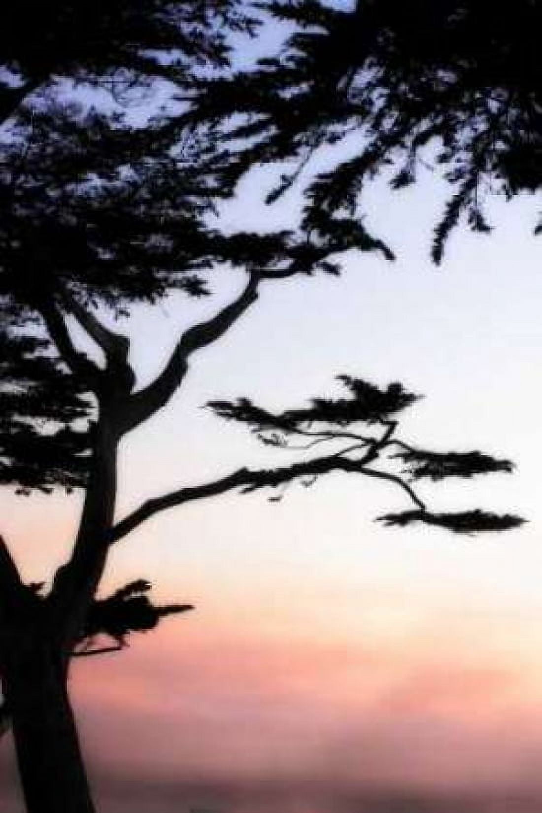 Cypress Silhouette IV Canvas Art - Alan Hausenflock (12 x 18)
