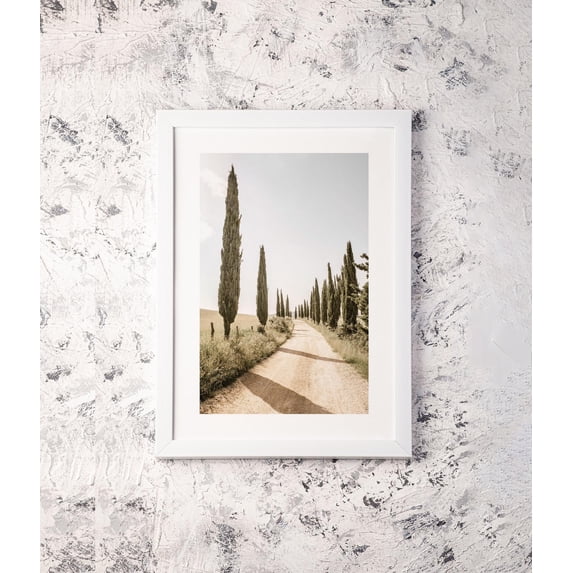 Cypress Tree Alley Nature Landscape With Summer Countryside Path ...