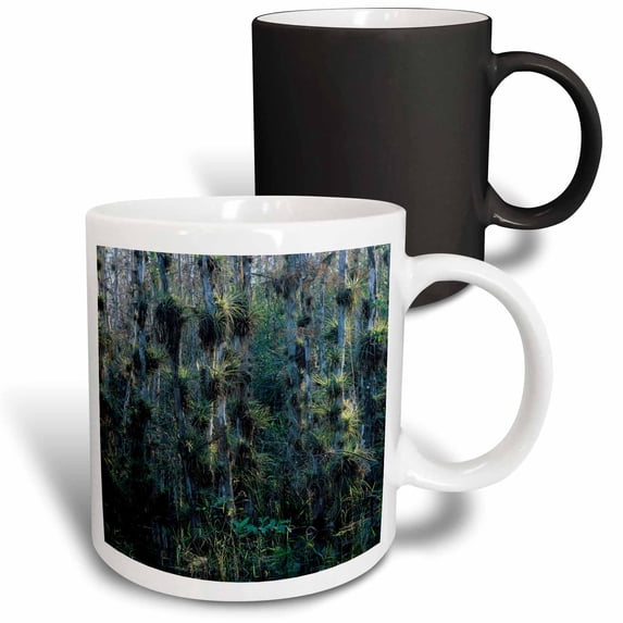 3drose, Cypress Trees Bromeliads, Big Cypress Np, Florida - Na02 Rnu0587 - Rolf Nussbaumer, 11oz Magic Transforming Mug