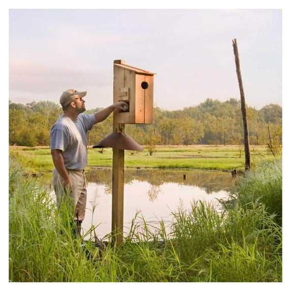 Cypress Wood Nesting Box