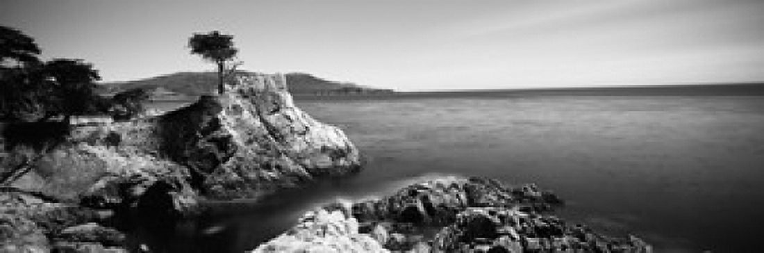 Cypress tree at the coast The Lone Cypress 17 mile Drive Carmel California USA Canvas Art - Panoramic Images (36 x 12)