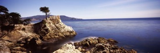 Cypress tree at the coast The Lone Cypress 17 mile Drive Carmel California USA Canvas Art - Panoramic Images (36 x 12)
