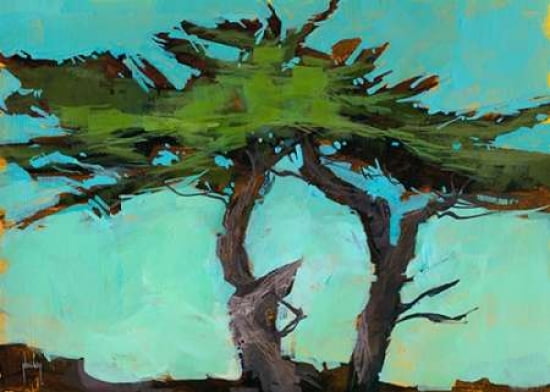Cypresses Canvas Art - Paul Bailey (20 x 28)