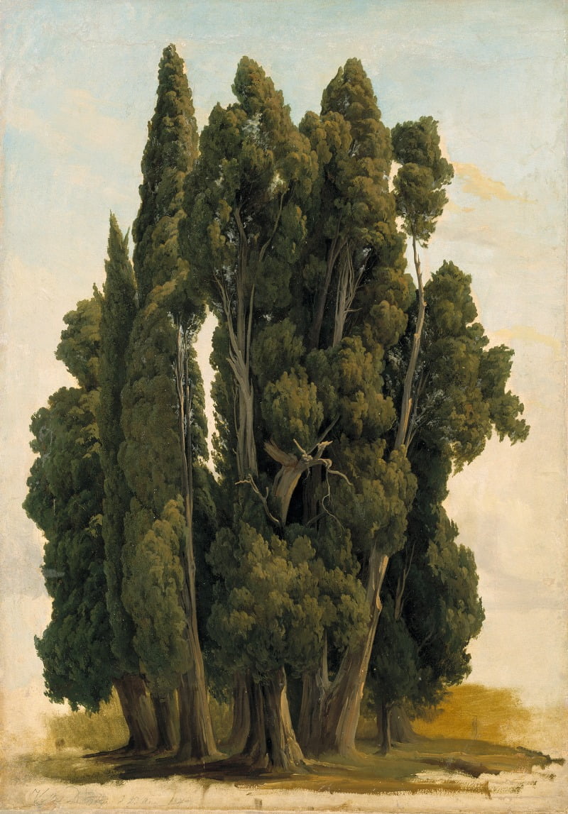 Cypresses. Study (1843) Poster Print by Gustaf Wilhelm Palm (18 x 24 ...
