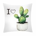 Cyrdddb Throw Pillows Covers Pillowcase Cactus Banana Leaf Print Pillow