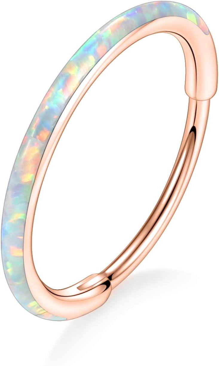 16G Piercing Daith Cartilage Earring Septum Piercings Clicker CZ Acier Chirurgical Hélix Tragus