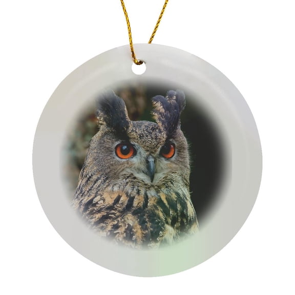 3drose, Czech Republic, Liberec. Eagle Owl, Circle Porcelain Ornament