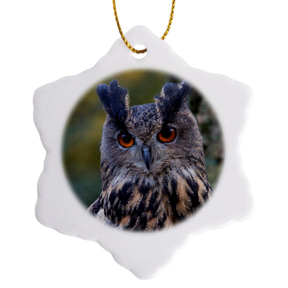 3drose, Czech Republic, Liberec, Sychrov. Captive Eagle Owl., 3 inch Snowflake Porcelain Ornament