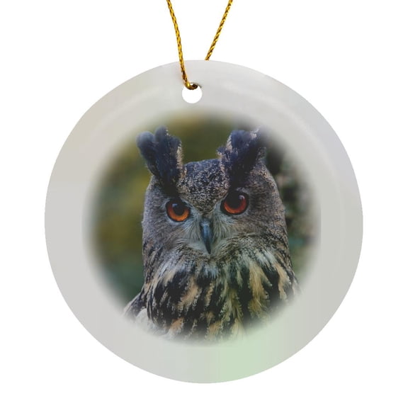 3drose, Czech Republic, Liberec, Sychrov. Captive Eagle Owl., Circle Porcelain Ornament