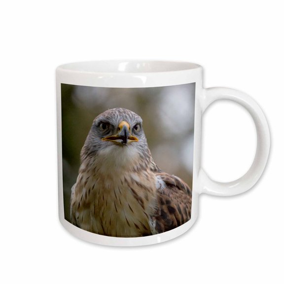 3drose, Czech Republic, Liberec, Sychrov. Captive Red-tailed Hawk., 15oz Mug
