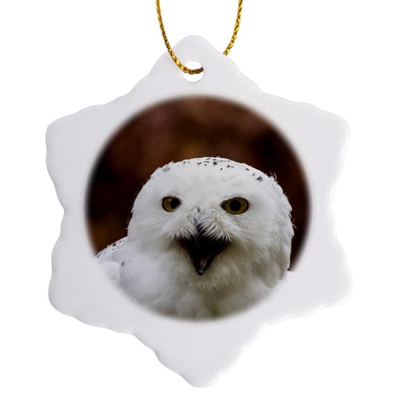 3drose, Czech Republic, Liberec, Sychrov. Snowy Owl. Castle of Sychrov., 3 inch Snowflake Porcelain Ornament