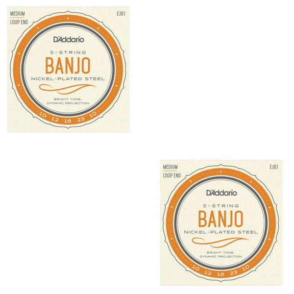 D'Addario Banjo Strings 2-Pack Nickel Steel Loop End Medium EJ61