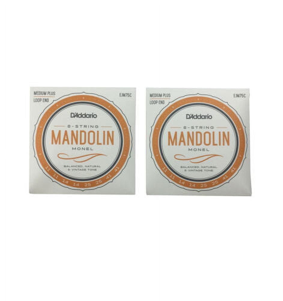 D'Addario Mandolin Strings 2 Pack Monel Medium Plus 11-41 Loop End