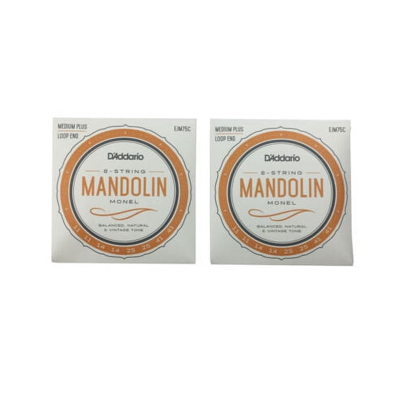 D'Addario Mandolin Strings 2 Pack Monel Medium Plus 11-41 Loop End