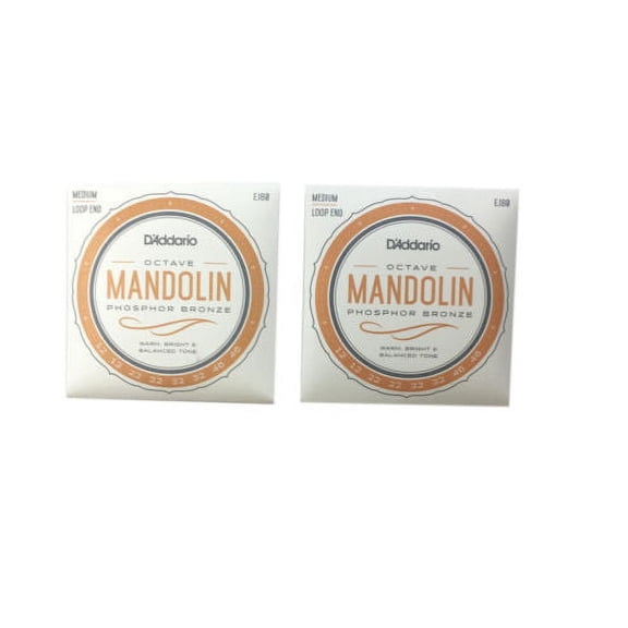 D'Addario Octave Mandolin Strings 2 Pack Phosphor Bronze Medium Loop End