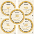 thumbnail image 1 of D'Addario Oud Strings 5-Pack EJ95 C#F#BEAD 11-String, 1 of 2