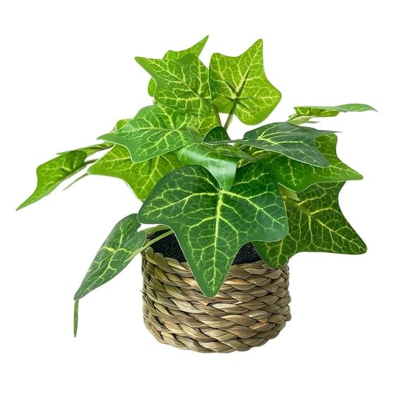 D Artificial Mini Plants In Hand Woven Basket Tabletop Decor Home
