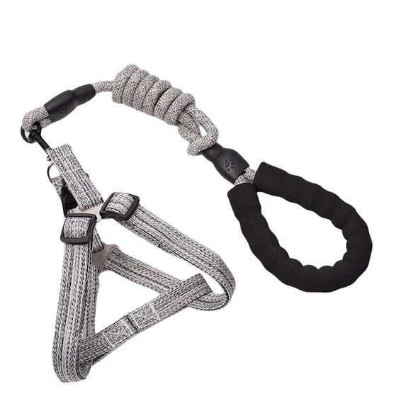 Fresh Look at D Buckle Dog Leash For Large Dogs Harnesses Strong Multicolored