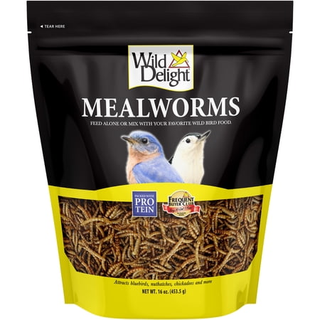 Wild Delight Mealworms for Birds 16 oz