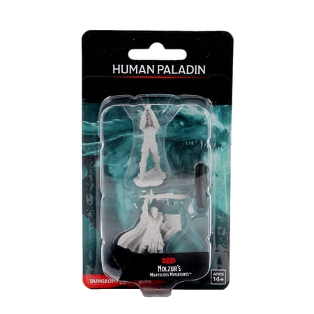 D&D: Nolzur's Marvelous Miniatures - Male Human Paladin