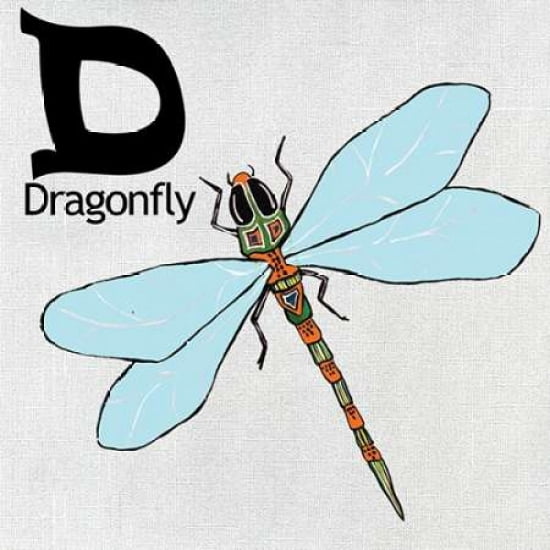 D - Dragonfly Canvas Art - Shanni Welsh (24 x 24)