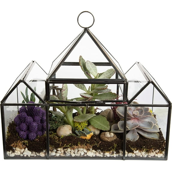 D'Eco Glass Castle Plant Terrarium (10x4.5x9) - Indoor Tabletop & Hanging Black Geometric Planter - Succulents, Air Plants, Moss, Fern - Home Garden Office Decor - Gift for Plant Lovers