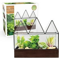 D'Eco Glass Castle Plant Terrarium (10x9x5) - Black Accents & Wood Base - Tabletop Centerpiece for Succulents, Air Plants & Moss - Ventilated Openings, Detachable Top, Great Gift