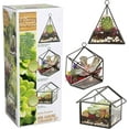 thumbnail image 1 of D'Eco Glass Geometric Plant Terrarium 3Pk - Hanging Brass Triangle, House & Prism Planters - Succulents, Air Plants, Moss - Home, Wedding & Office Decor- Gift Idea for Plant Lovers, 1 of 5