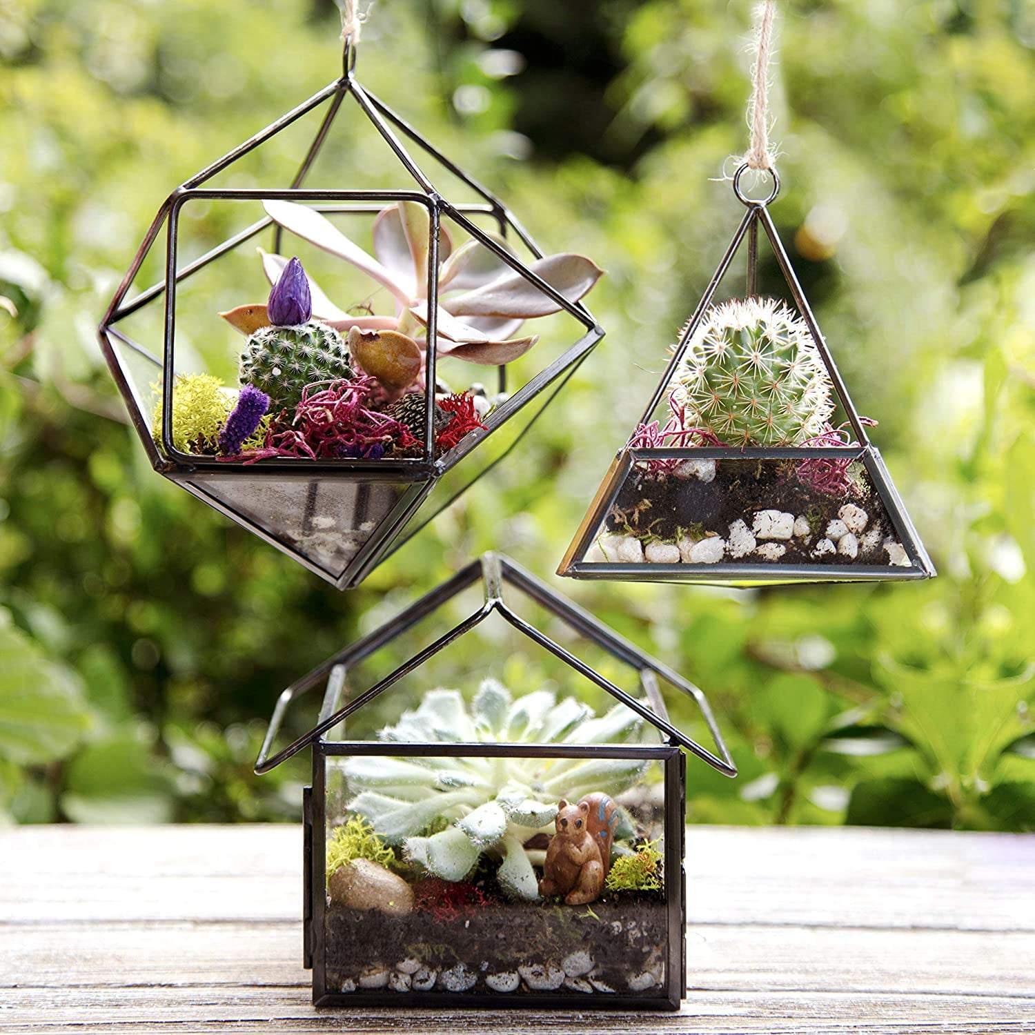 D'Eco Glass Geometric Plant Terrarium 3Pk - Tabletop D'Eco Glass Geometric Plant Terrarium 3Pk - Tabletop