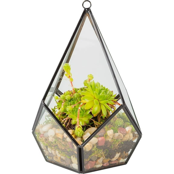 D'Eco Glass Geometric Plant Terrarium (5.7x5.7x7) Indoor Table Top & Hanging Teardrop Planter - Succulents, Air Plants, Moss- Home, Garden, Wedding & Office Decor- Gift for Plant Lovers