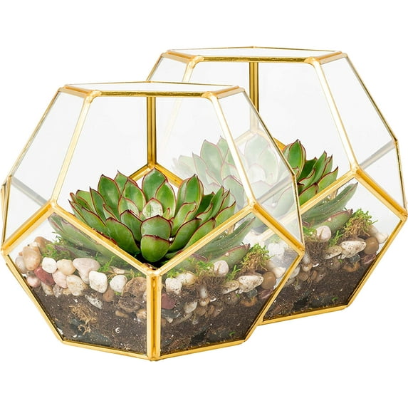 D'Eco Glass Geometric Plant Terrarium (Set of 2) - Indoor Tabletop Gold Sphere Planter Terrarium - Succulents, Air Plants, Moss - Home Garden Office Wedding Decor - Gift Idea for Plant Lovers