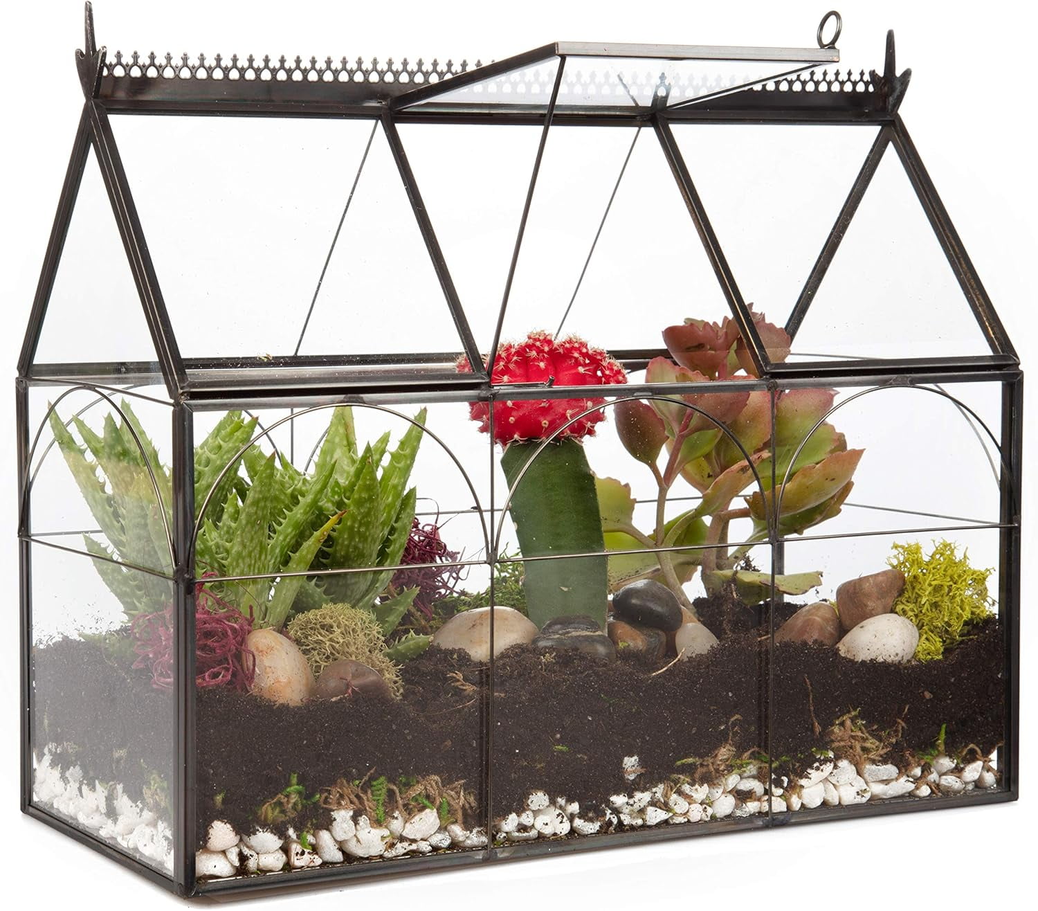 D'Eco Glass Greenhouse Terrarium (10x4.5x9) - Tabletop Black Hinged Geometric Planter - Succulents, Air Plants, Moss, Fern - Home, Garden Office & Wedding Decor - Gift for Plant Lovers