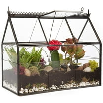 D'Eco Glass Greenhouse Terrarium (10x4.5x9) - Table Top Black Hinged Geometric Planter - Succulents, Air Plants, Moss, Fern - Home, Garden Office & Wedding Decor - Gift for Plant Lovers