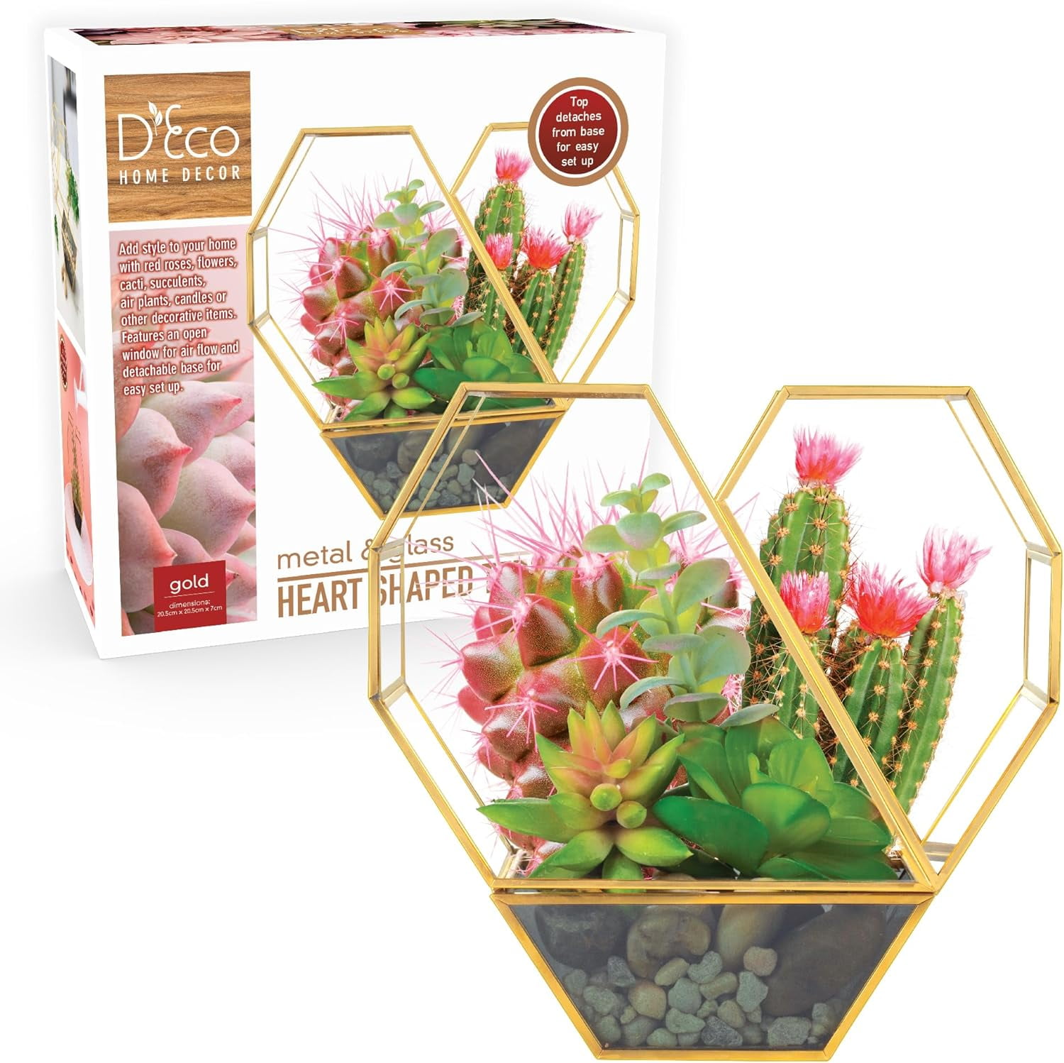 is a jade plant a succulent Jade Plant main image 0