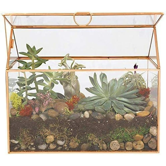 D'Eco Glass House Plant Terrarium (10"x6"x8") - Indoor Tabletop Gold Geometric Planter Terrarium for Succulents, Air Plants, Moss - Home, Wedding & Office Decor - Gift Idea for Plant Lovers