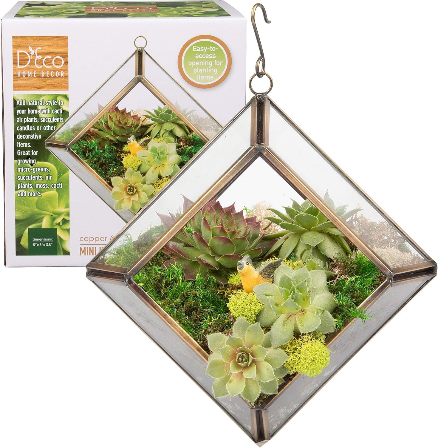 Copper and Glass Diamond Hanging Terrarium for Indoor Plants