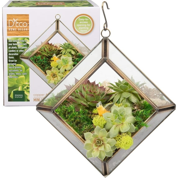 D'Eco Glass Mini Diamond Plant Terrarium (5x5x3.5) - Indoor Table Top Copper Geometric Planter - Succulents, Air Plants, Moss - Home & Office Decor - Gift for Plant Lovers