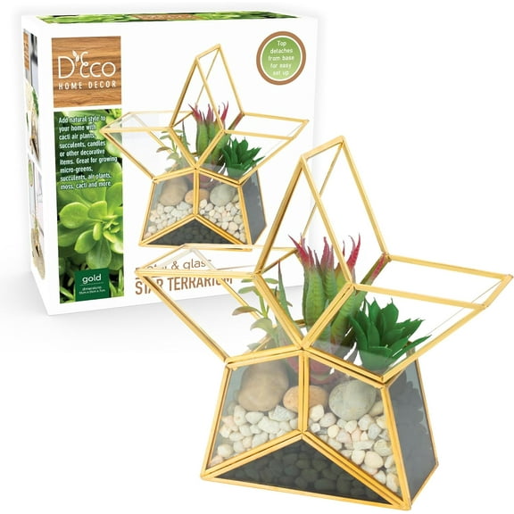D'Eco Glass Star Plant Terrarium (7.8x8.2x2.5)- Indoor Table Top Gold Trimmed Geometric Planter - Succulents, Air Plants, Moss, Fern - Home Garden Office Decor - Terrarium Gift for Plant Lovers