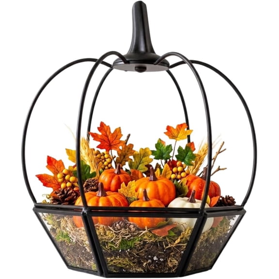 D'Eco Halloween Pumpkin Glass Terrarium, 7x7x8, Rustic Black Trim Geometric Planter, Plant Container and Seasonal Table Centerpiece, for Succulents