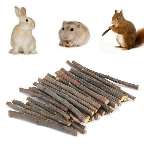 D-GROEE 20/40/60Pcs Apple Sticks Wood Tree Branches Pet Snacks Chew Toys Apple Branch for Guinea Pigs Chinchilla Squirrel Rabbits Hamster Small Animals