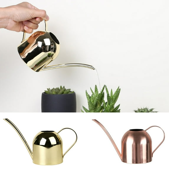 D-GROEE 500ML Mini Watering Can for Indoor Plants for Tiny House Plants, Flowers, Succulents, Herbs, and Bonsai - Beautiful, Modern, Long Neck, Stainless Steel Metal Watering Can