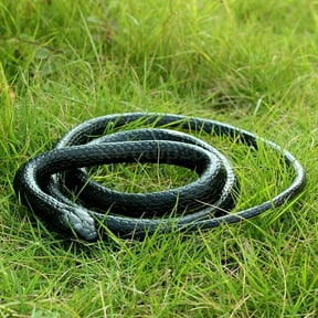 D-GROEE 51 Inches Rubber Lifelike Snakes Scary Gag Gift Incredible Creatures Chain Snakes Halloween April Fools Day Trick Prop