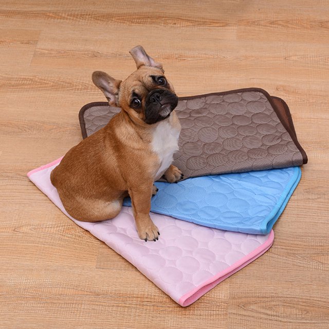 DGROEE Dog Crate Bed Mat Cool Breathable Kennel Pad, Anti Slip Dog