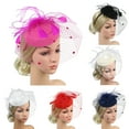 thumbnail image 1 of D-GROEE Fascinators for Women Tea Party Headband Hats Cocktail Flower Mesh Feathers Headwear Hair Clip for Wedding, 1 of 8