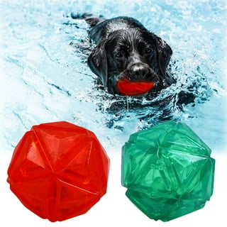 Dog floaties best sale walmart