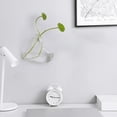 thumbnail image 1 of D-GROEE Hanging Wall Mounted Fish Bowl Betta Tank Aquarium Wall Decor Plant Fish Bubble, 1 of 5