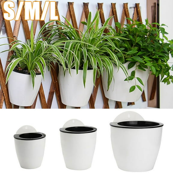 D-GROEE Self Watering Hanging Wall Planter, Space-Saving Design, Small, Resin, White and Black