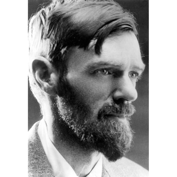 D.H. Lawrence. Courtesy Csu Archives Everett Collection History (24 x 36)
