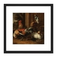 thumbnail image 1 of D'Hondecoeter Poultry Yard 8X8 Inch Square Wooden Framed Wall Art Print Picture with Mount, 1 of 4