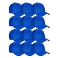 thumbnail image 1 of D&I Basic Baseball Cap Adjustable Closure Curved Visor Hat - 12 Pcs Value Pack - Royal, 1 of 6
